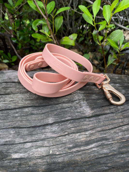 Walks with Ruby Lead Peach
