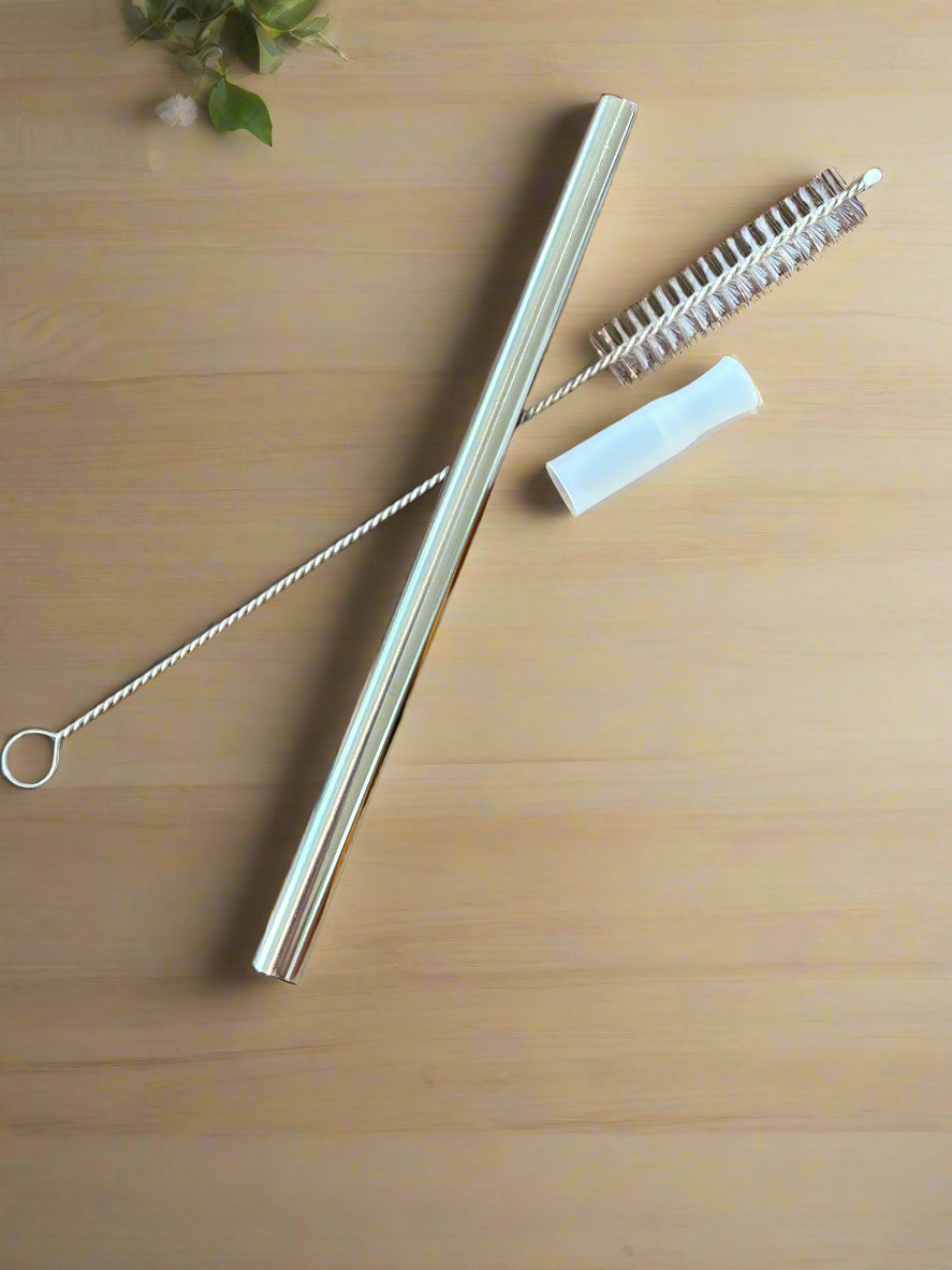 Metal Straw and Cleaning Brush