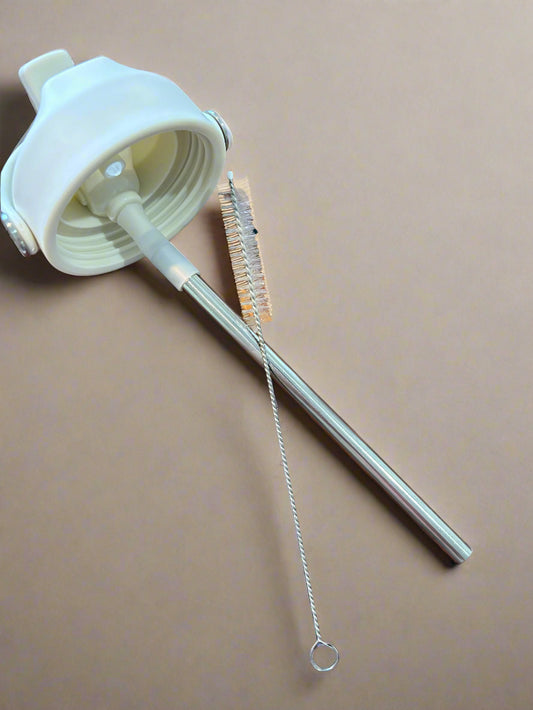 Metal Straw and Cleaning Brush