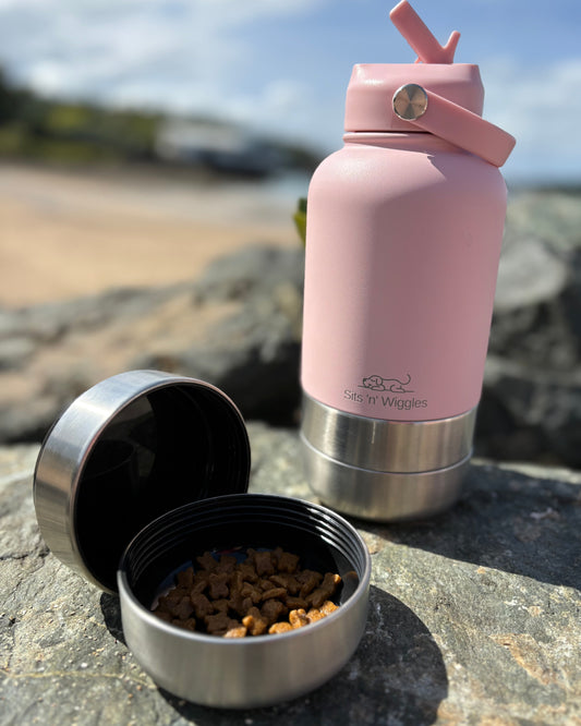 Scout Adventure Bottle Pink