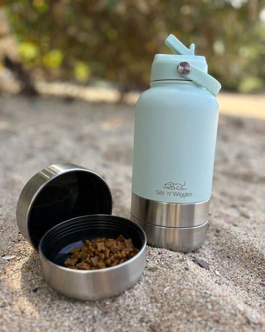 Scout Adventure Bottle Aqua