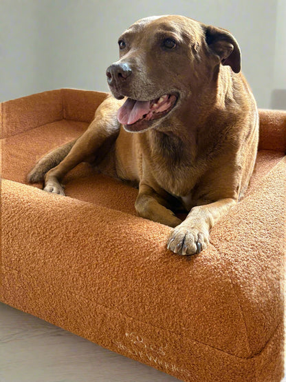 Jax Bed -  Orthopaedic Memory Foam Dog Bed TERRACOTTA