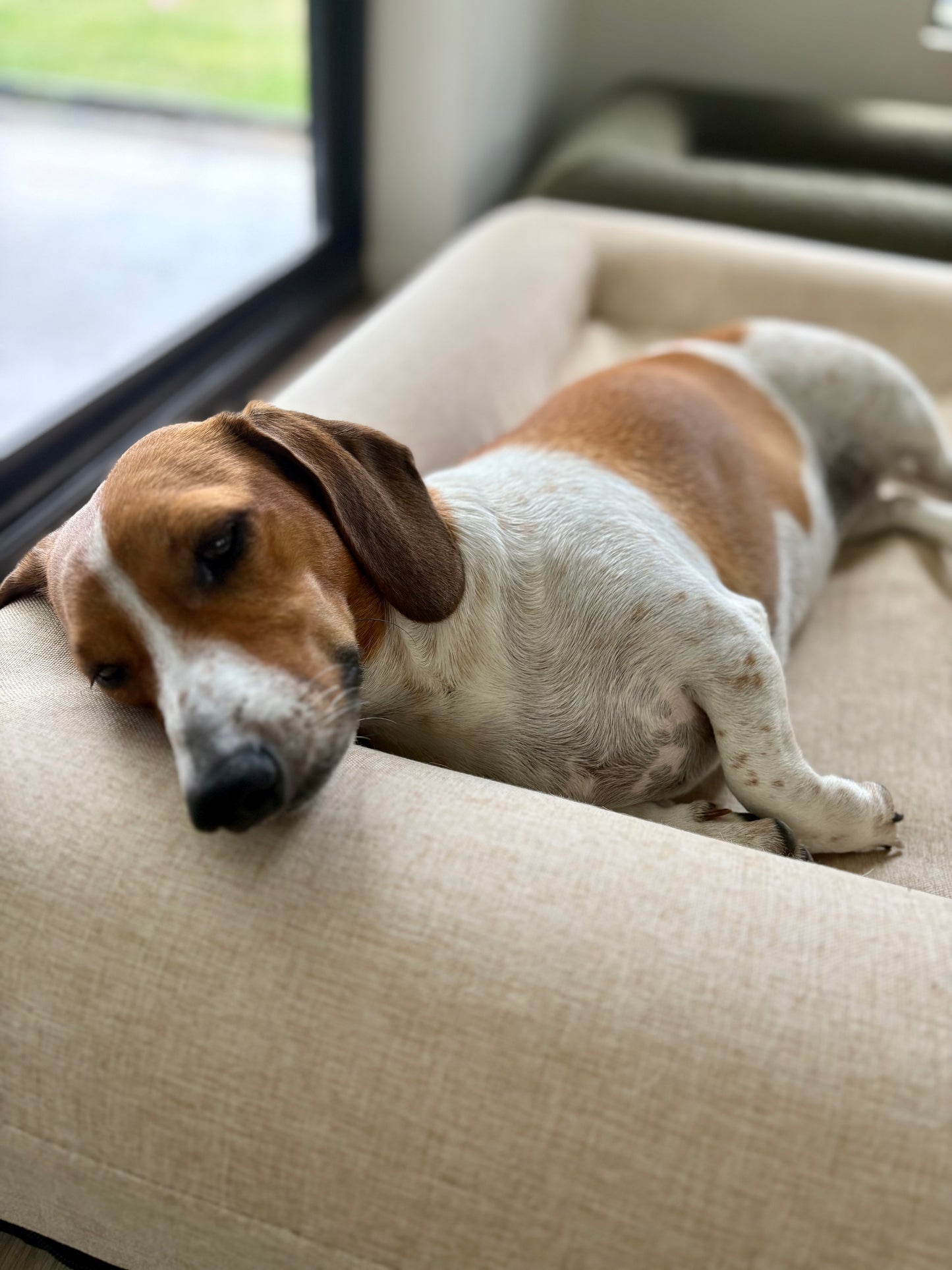 Jax Bed -  Orthopaedic Memory Foam Dog Bed - LINEN BEIGE