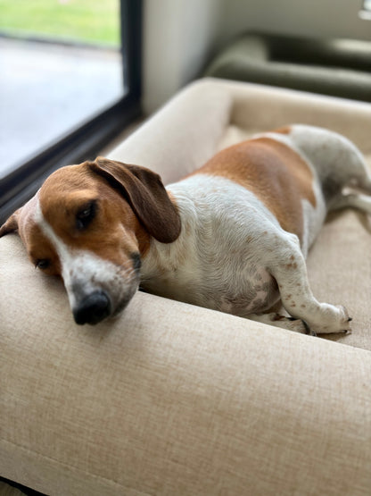 Jax Bed -  Orthopaedic Memory Foam Dog Bed - LINEN BEIGE