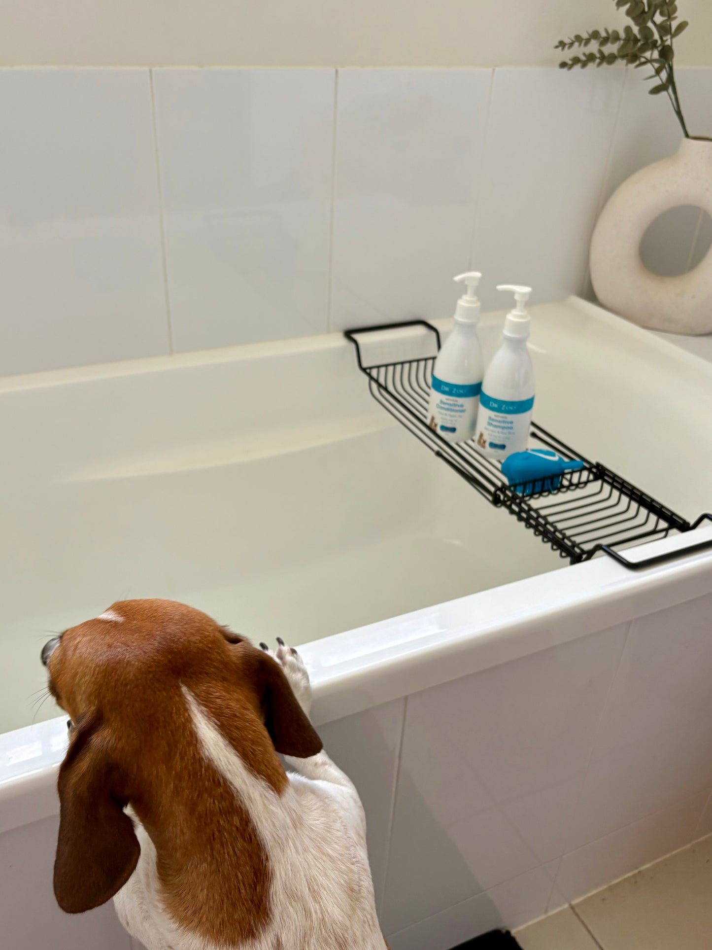 Dr Zoo Natural Pet Shampoo & Conditioner Pack