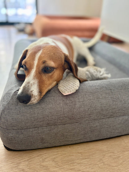 Jax Bed -  Orthopaedic Memory Foam Dog Bed - LINEN GREY