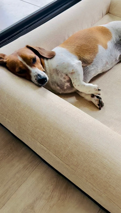 Jax Bed -  Orthopaedic Memory Foam Dog Bed - LINEN BEIGE