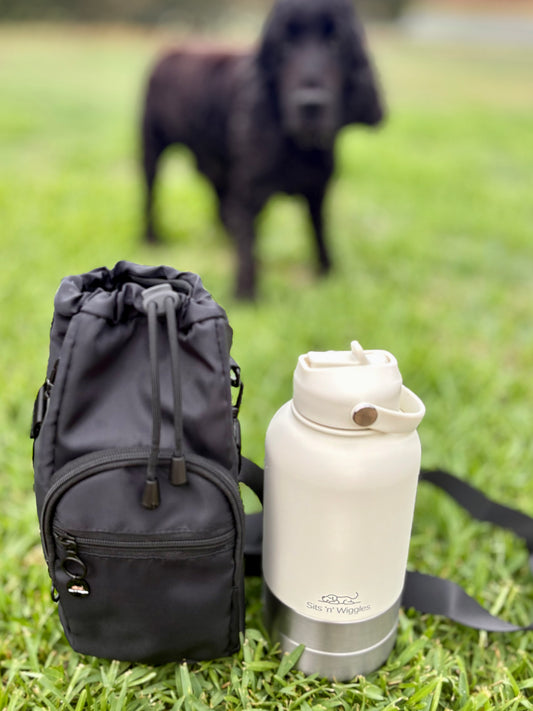 Ivory Scout Adventure Bottle + SNW Go Bag Christmas Bundle