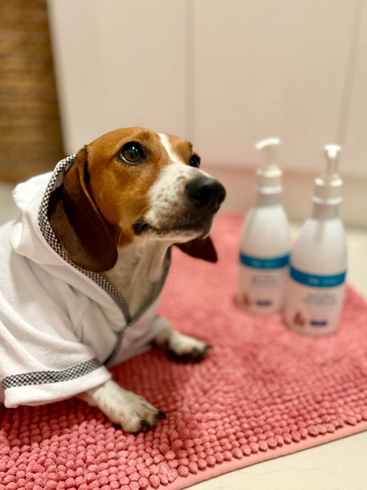 Christmas Bathtime Bundle