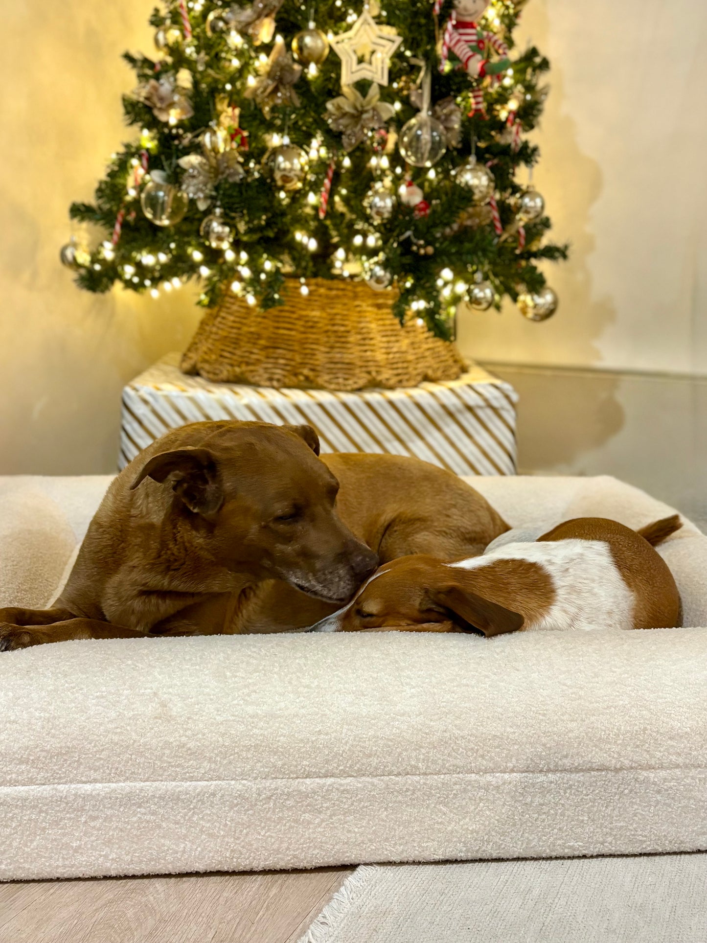 White Christmas Jax Bed + 50% Off Extra Cover