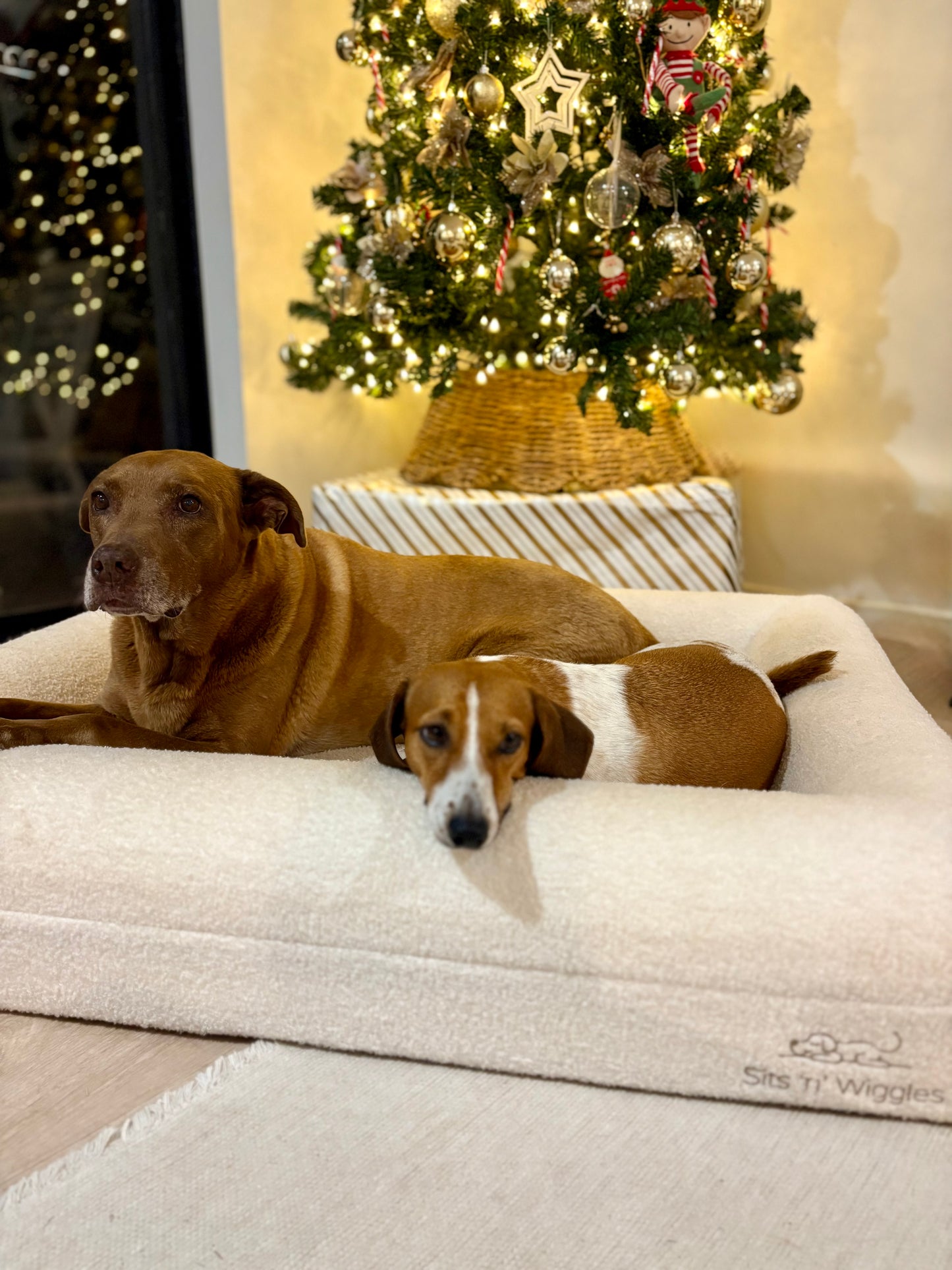 White Christmas Jax Bed + 50% Off Extra Cover