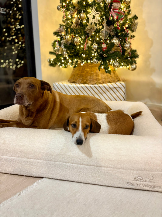 White Christmas Jax Bed + 50% Off Extra Cover