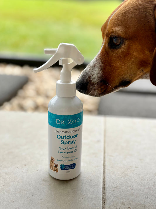 Dr Zoo Lose The Groupies Outdoor Spray – Natural Outdoor Protection (200ml)