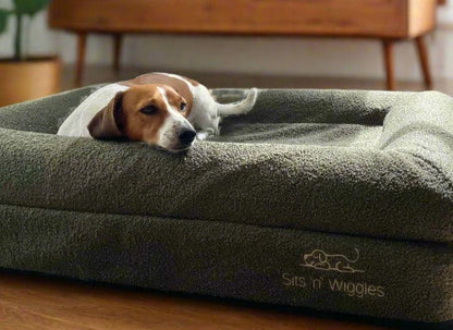 Ziggy lying on a olive dog bed with 'Sits n Wiggles' branding in a home setting.