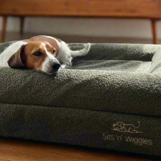 Ziggy lying on a olive dog bed with 'Sits n Wiggles' branding in a home setting.