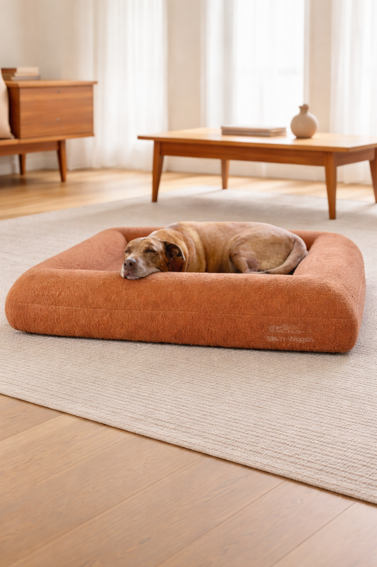 Jax Bed -  Orthopaedic Memory Foam Dog Bed TERRACOTTA