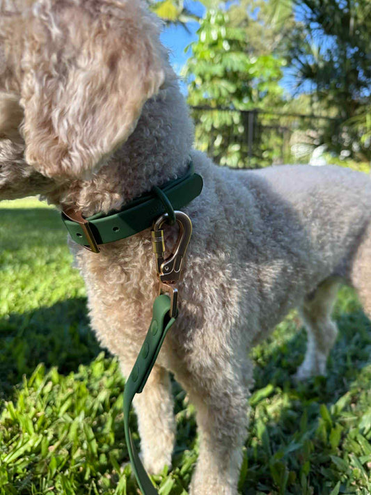 Walks with Ruby Christmas Set