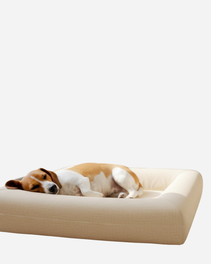 Jax Bed -  Orthopaedic Memory Foam Dog Bed - LINEN BEIGE