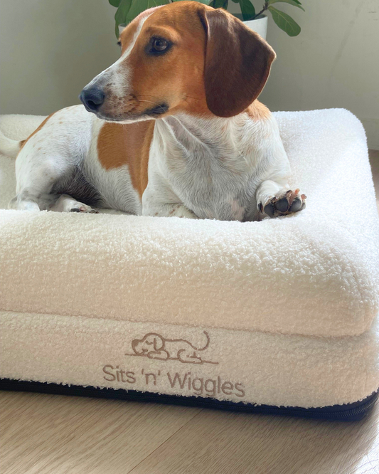 Jax Bed - Cover Only White