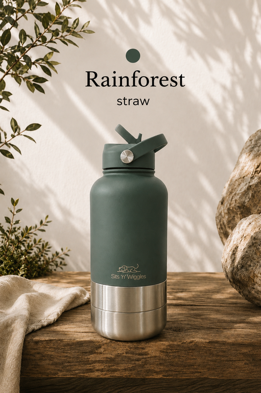 Rainforest | Earth Collection | STRAW Lid