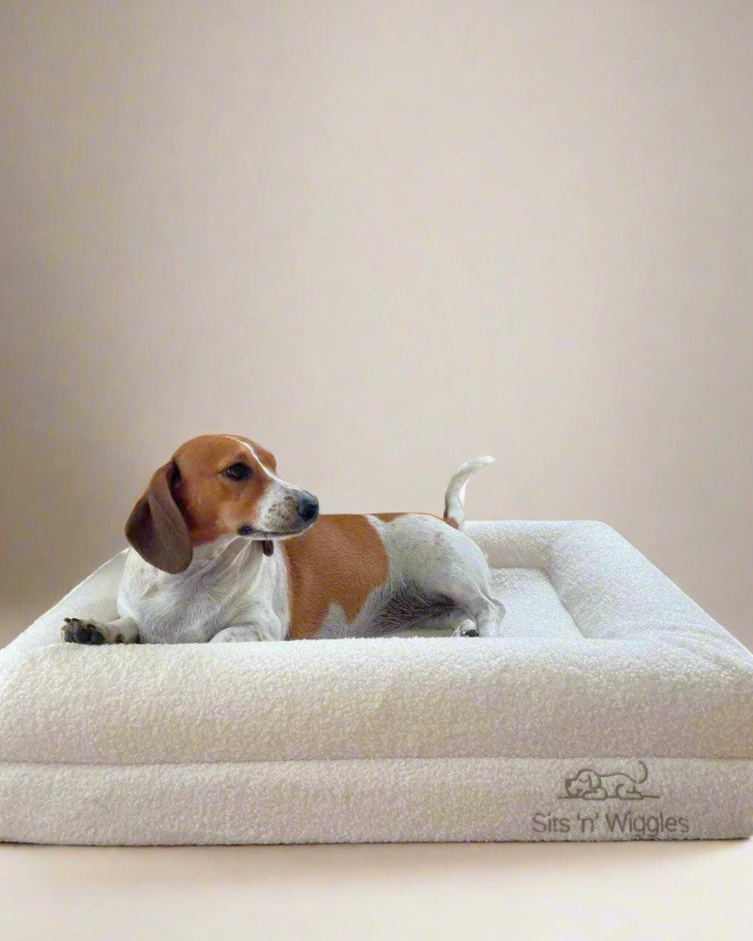 Jax Bed -  Orthopaedic Memory Foam Dog Bed
