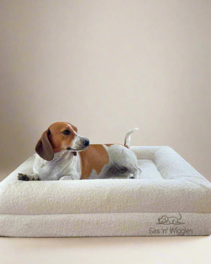 Jax Bed -  Orthopaedic Memory Foam Dog Bed